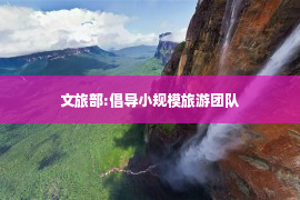 文旅部:倡导小规模旅游团队