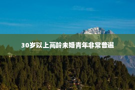 30岁以上高龄未婚青年非常普遍