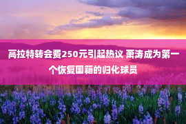 高拉特转会费250元引起热议 萧涛成为第一个恢复国籍的归化球员