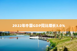 2022年中国GDP同比增长3.0%