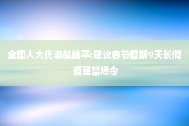 全国人大代表赵皓平:建议春节假期9天长假 调整禁燃令