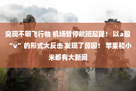 突现不明飞行物 机场暂停航班起降！ 以a股“v”的形式大反击 发现了原因！ 苹果和小米都有大新闻