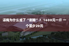 话梅为什么成了“刺客”？ 1600元一斤 一个至少20元