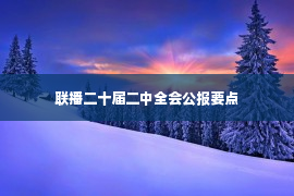 联播二十届二中全会公报要点