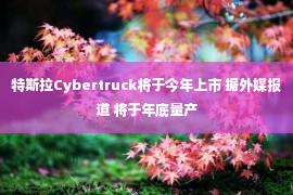 特斯拉Cybertruck将于今年上市 据外媒报道 将于年底量产