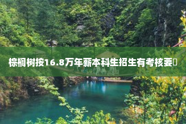 棕榈树按16.8万年薪本科生招生有考核要�