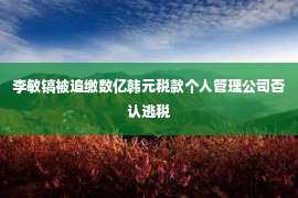 李敏镐被追缴数亿韩元税款个人管理公司否认逃税