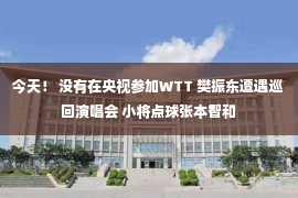 今天！ 没有在央视参加WTT 樊振东遭遇巡回演唱会 小将点球张本智和