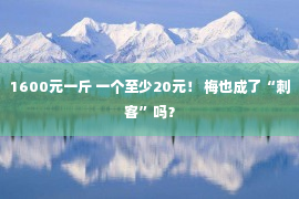 1600元一斤 一个至少20元！ 梅也成了“刺客”吗？