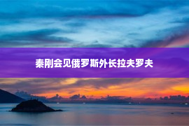 秦刚会见俄罗斯外长拉夫罗夫