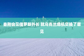 秦刚会见俄罗斯外长 就乌克兰危机交换了意见