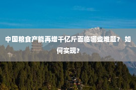 中国粮食产能再增千亿斤面临哪些难题？ 如何实现？