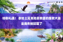 特别礼遇！ 参加土耳其地震救援的搜救犬乘坐商务舱回国了