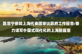 陈吉宁参加上海代表团审议政府工作报告:奋力谱写中国式现代化的上海新篇章