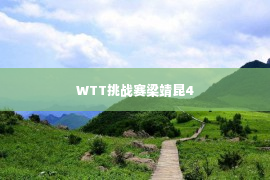 WTT挑战赛梁靖昆4