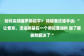 如何实现俄罗斯和平？ 特朗普还插手说:“让普京、泽连斯基在一个房间里谈判 敲了脑袋就解决了 ”