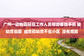 广州一动物园回应工作人员帮游客捡手机 被幼虎包围  成虎和幼虎不在小区  没有危险