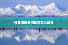 外交部长秦刚谈乌克兰危机