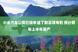 小米汽车公司已经申请了数百项专利 预计明年上半年量产