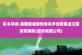 巨丰早参:美联储或加快加息步伐我国成立国家数据局(股份有限公司)