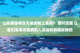 山东感染者白天救狗晚上卖狗？ 面对流程 让我们来看看爱狗的人是如何制造反转的