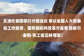 天津代表团举行分组会议 审议全国人大常委会工作报告、国务院机构改革方案等 陈敏尔·秦刚·张工喻云林等发�