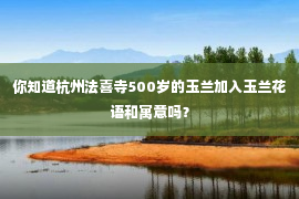 你知道杭州法喜寺500岁的玉兰加入玉兰花语和寓意吗？