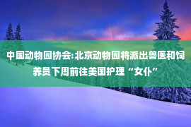 中国动物园协会:北京动物园将派出兽医和饲养员下周前往美国护理“女仆”