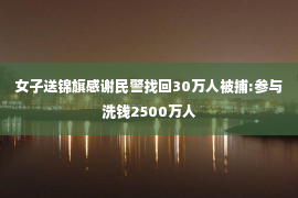 女子送锦旗感谢民警找回30万人被捕:参与洗钱2500万人