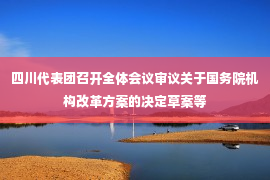 四川代表团召开全体会议审议关于国务院机构改革方案的决定草案等