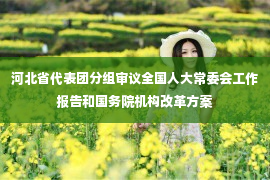 河北省代表团分组审议全国人大常委会工作报告和国务院机构改革方案