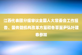 江西代表团分组审议全国人大常委会工作报告、国务院机构改革方案和各草案尹弘叶建春参加