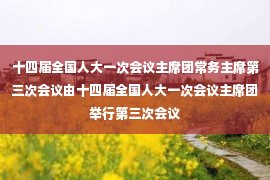 十四届全国人大一次会议主席团常务主席第三次会议由十四届全国人大一次会议主席团举行第三次会议