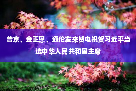 普京、金正恩、通伦发来贺电祝贺习近平当选中华人民共和国主席