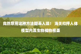 竟然想用这种方法糊弄入境！ 海关扣押人体模型内置生物植物根茎