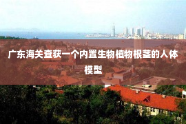 广东海关查获一个内置生物植物根茎的人体模型