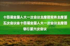 十四届全国人大一次会议主席团常务主席第五次会议由十四届全国人大一次会议主席团举行第六次会议