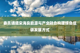 委员通道宋海良能源与产业融合构建绿色低碳发展方式