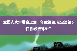 全国人大常委会过去一年成绩单:制定法律5件 修改法律9件