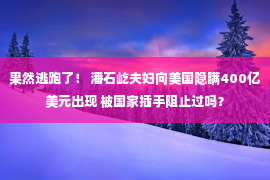 果然逃跑了！ 潘石屹夫妇向美国隐瞒400亿美元出现 被国家插手阻止过吗？