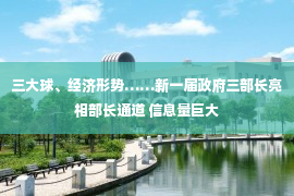 三大球、经济形势……新一届政府三部长亮相部长通道 信息量巨大