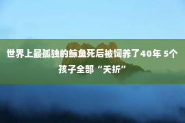 世界上最孤独的鲸鱼死后被饲养了40年 5个孩子全部“夭折”