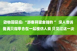 动物园回应:“游客拜望金钱豹 ” 没人告诉我两只指甲合在一起模仿人类 只见过这一次