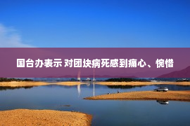 国台办表示 对团块病死感到痛心、惋惜