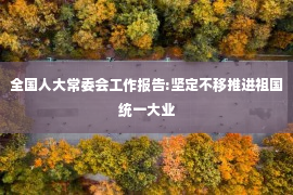 全国人大常委会工作报告:坚定不移推进祖国统一大业