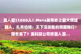 裁人超11000人！Meta发布史上最大领域裁人，扎克伯格：天下没按我的预期施行！隆冬来了？美科技公司掀裁人潮…