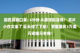 股民目瞪口呆: 5分钟 从跌停到涨停！ 芯片小作文来了 巨头停了下来！ 警察悬赏3万美元逮捕马冬梅！