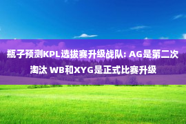 瓶子预测KPL选拔赛升级战队: AG是第二次淘汰 WB和XYG是正式比赛升级