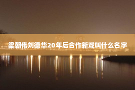 梁朝伟刘德华20年后合作新戏叫什么名字